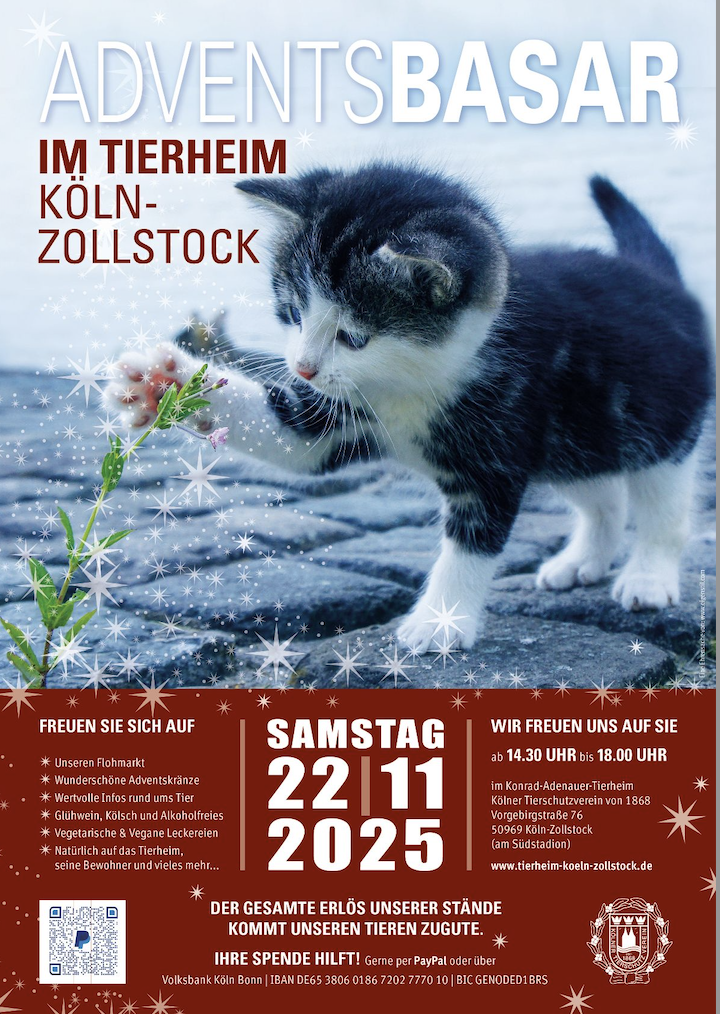 Adventsbasar im Tierheim Köln Zollstock
